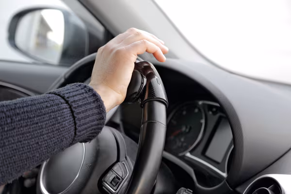 Lampa Power-Knob, pomello palmare per volanti