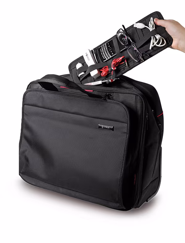Lampa Strappy, organizer per visiera parasole