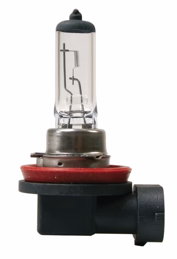 Lampa 12V Lampada alogena - H11 - 55W - PGJ19-2 - 1 pz  - Scatola