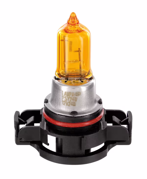Lampa 12V Lampada alogena - PSY24W - 24W - PG20-4 - 1 pz  - Scatola - Arancio
