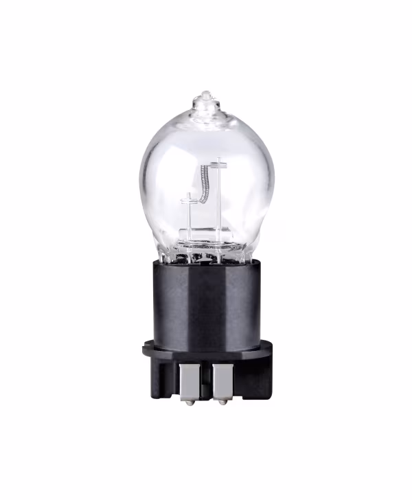Lampa 12V Lampada alogena - PW24W - 24W - WP3,3x14,5-3 - 10 pz  - Scatola