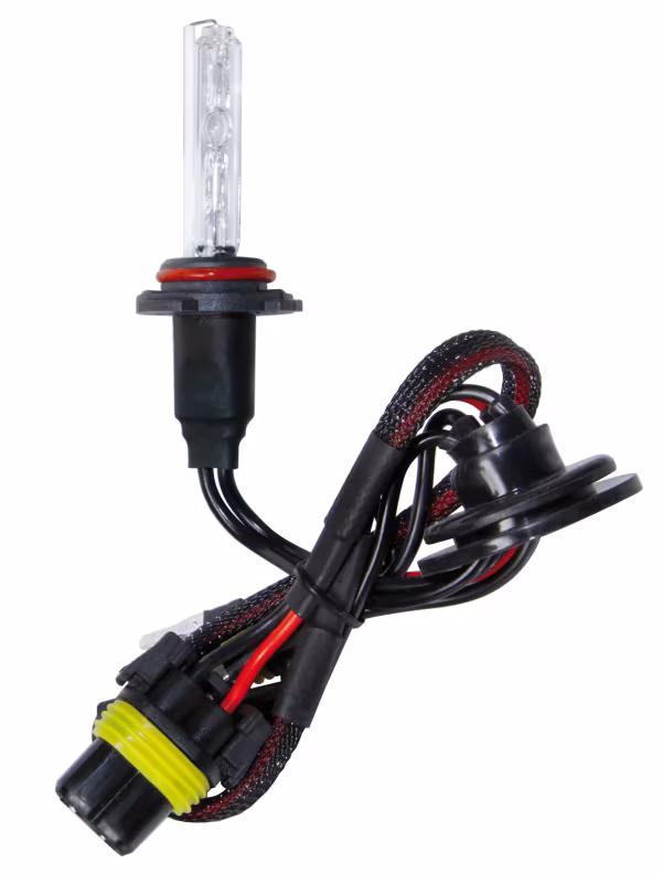 Pilot 12/24V Lampadina HID Xenon 8.000K - H10 - 1 pz  - Scatola