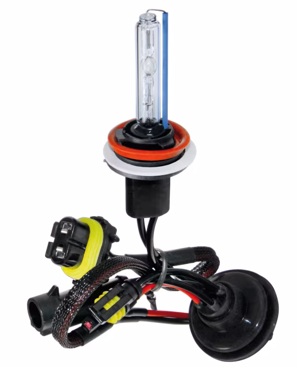 Pilot 12/24V Lampadina HID Xenon 8.000K - H11 - 1 pz  - Scatola