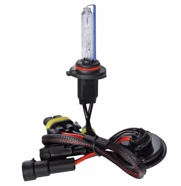 Pilot 12/24V Lampadina HID Xenon 8.000K - HB4 - 1 pz  - Scatola
