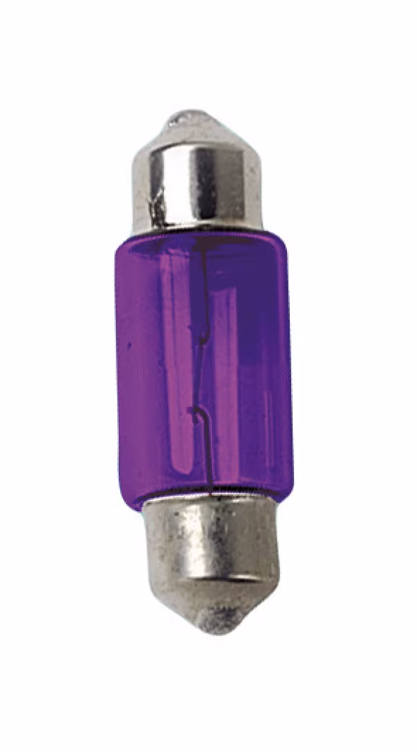Lampa 12V Lampada siluro - 11x31 mm - 10W - SV8,5-8 - 2 pz  - D/Blister - Viola