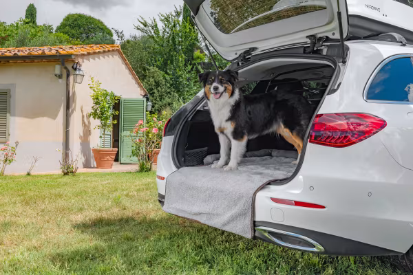 Lampa Pet Mat 3 in 1, lettino, tappeto baule e protezione paraurti
