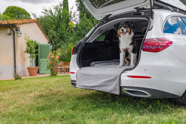 Lampa Pet Mat 3 in 1, lettino, tappeto baule e protezione paraurti