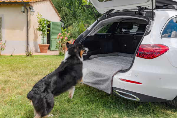Lampa Pet Mat 3 in 1, lettino, tappeto baule e protezione paraurti