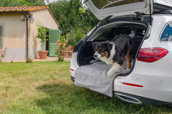 Lampa Pet Mat 3 in 1, lettino, tappeto baule e protezione paraurti