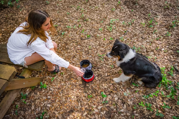 Lampa Pet Bowl, doppia ciotola da viaggio per animali - 1100+1400 ml