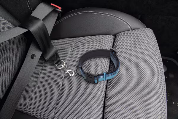Lampa Cintura di sicurezza supplementare per pettorina o collare
