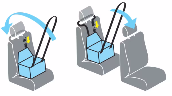 Lampa Seggiolino per animali, sedile anteriore o posteriore
