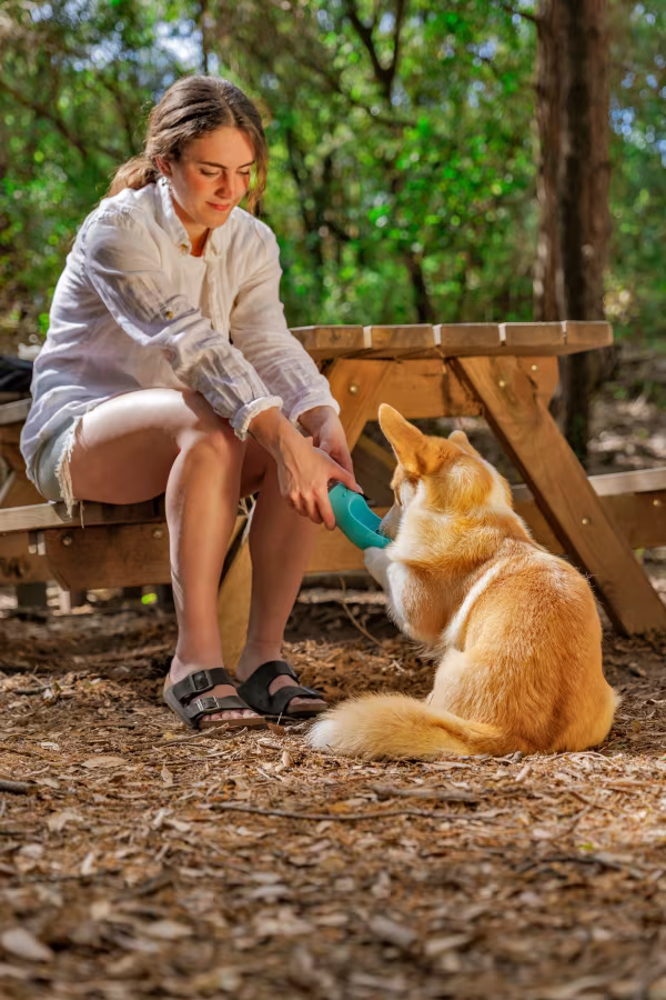 Lampa Pet-bottle, abbeveratoio da viaggio per animali - 350 ml