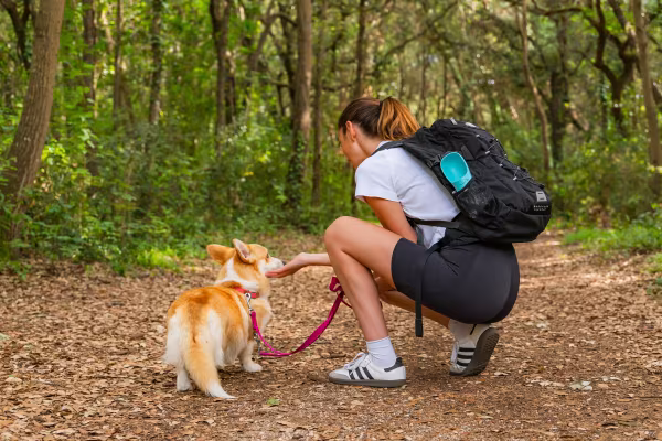 Lampa Pet-bottle, abbeveratoio da viaggio per animali - 350 ml