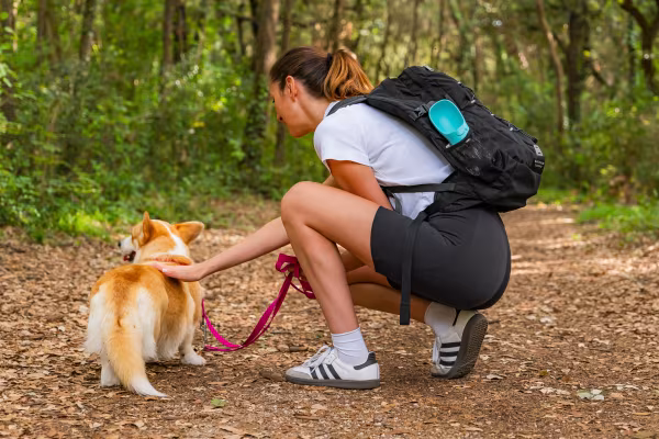 Lampa Pet-bottle, abbeveratoio da viaggio per animali - 350 ml