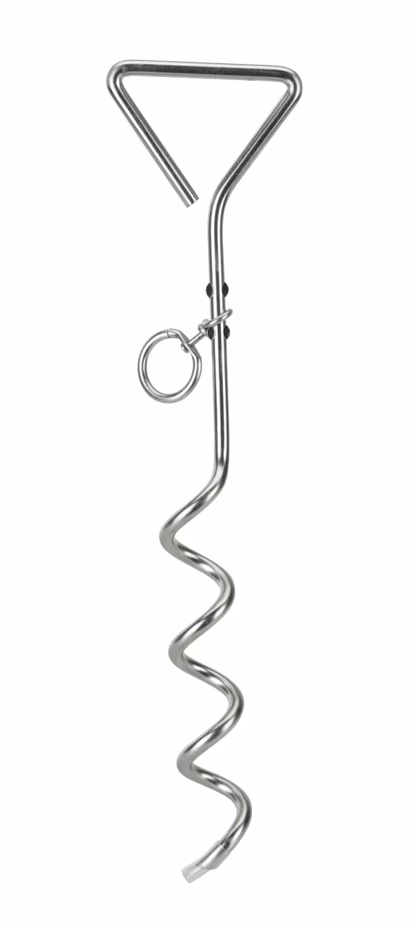 Lampa Picchetto per guinzaglio