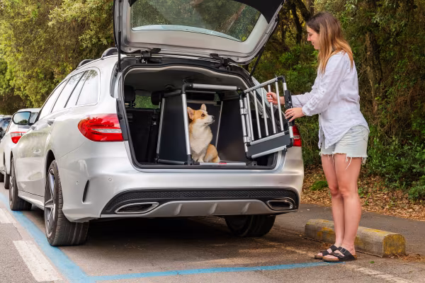 Lampa Premium, trasportino in lega di alluminio, specifico per il trasporto di animali in auto - Type