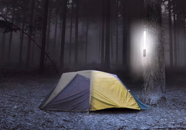 Lampa Lampada da lavoro a LED COB - 12/24V