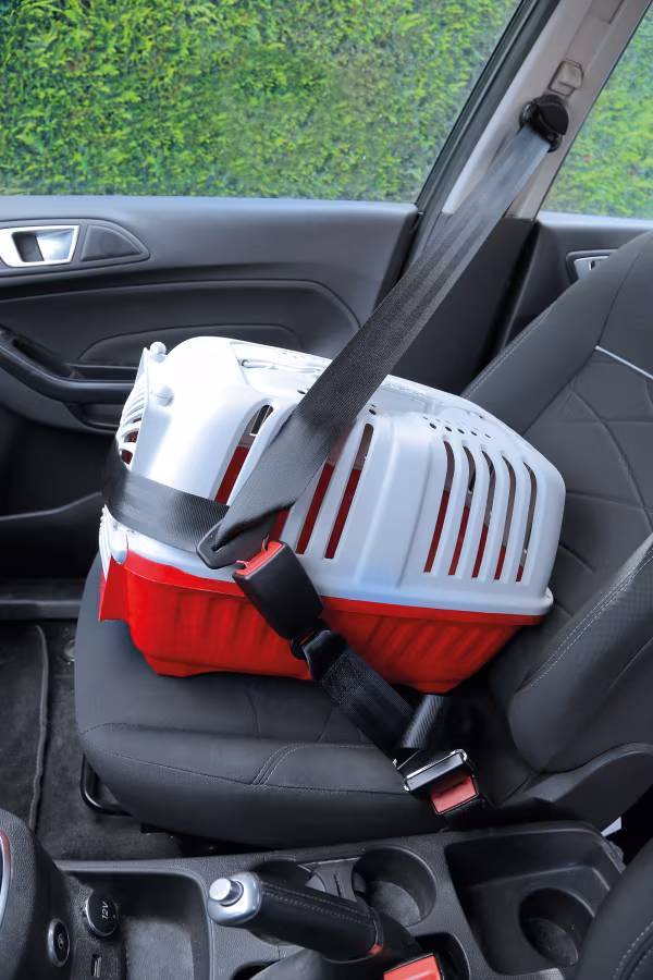 Lampa Estensione per cintura di sicurezza, versione omologata