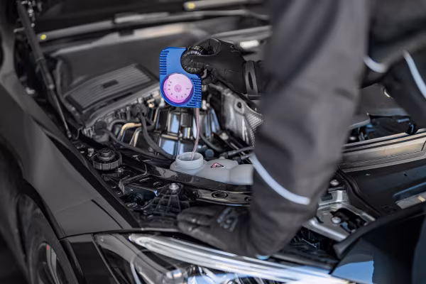 Lampa Tester antigelo professionale