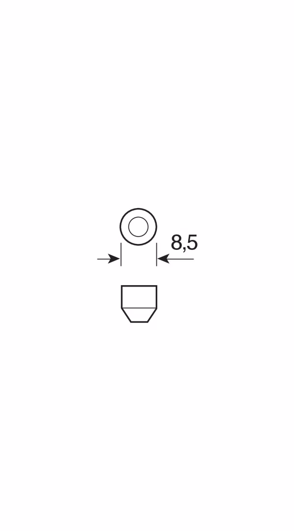 Lampa 12V Lampada siluro - 15x41 mm - 18W - SV8,5-8 - 2 pz  - Scatola