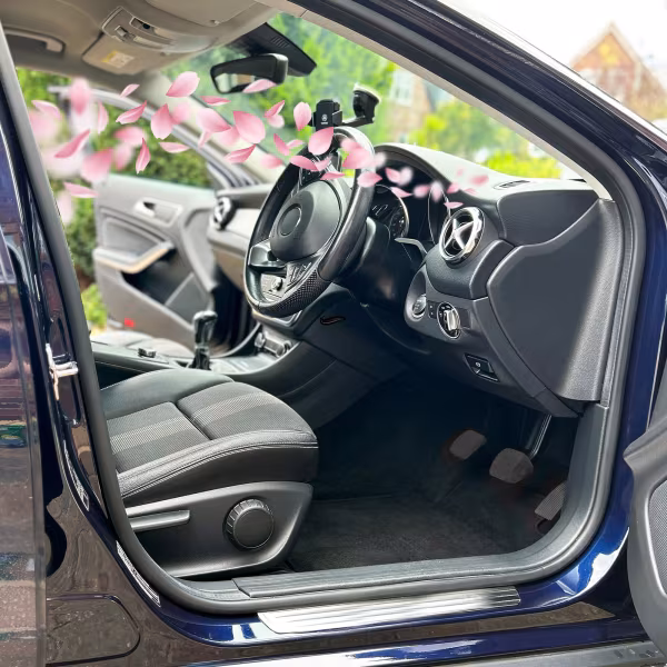 Turtle Wax Elimina odori - 500 ml