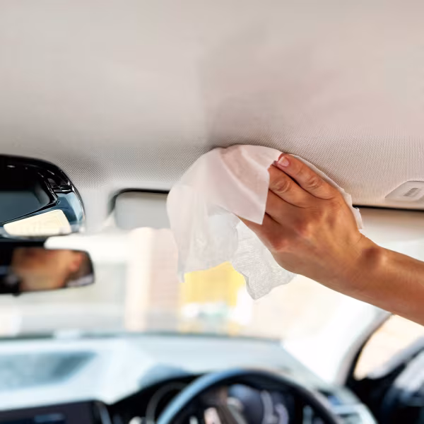 Turtle Wax Interior 1, salviette multiuso per interni - 24 pz
