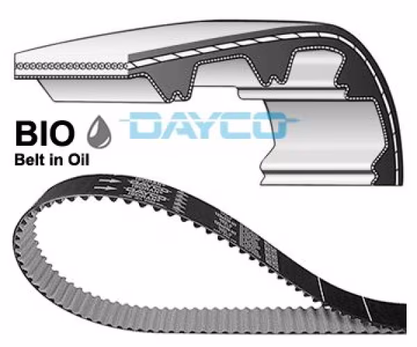 DAYCO Cinghia dentata
