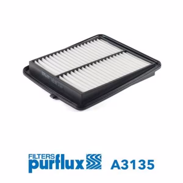 PURFLUX Filtro aria