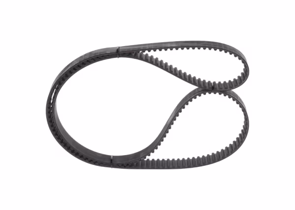 BOSCH Cinghia dentata