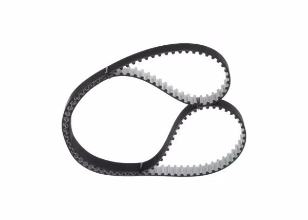 BOSCH Cinghia dentata