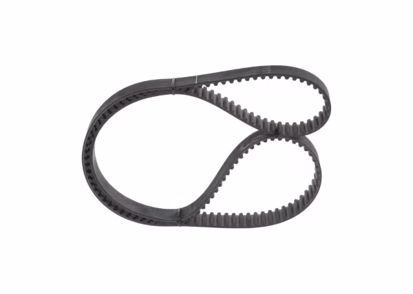 BOSCH Cinghia dentata