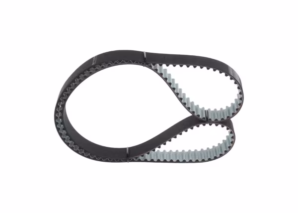 BOSCH Cinghia dentata
