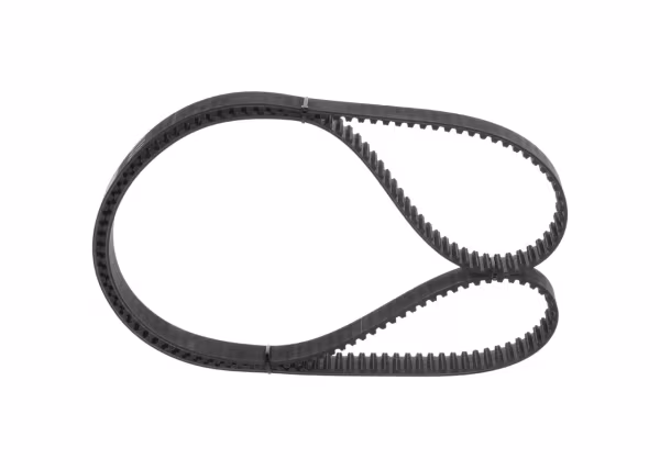 BOSCH Cinghia dentata
