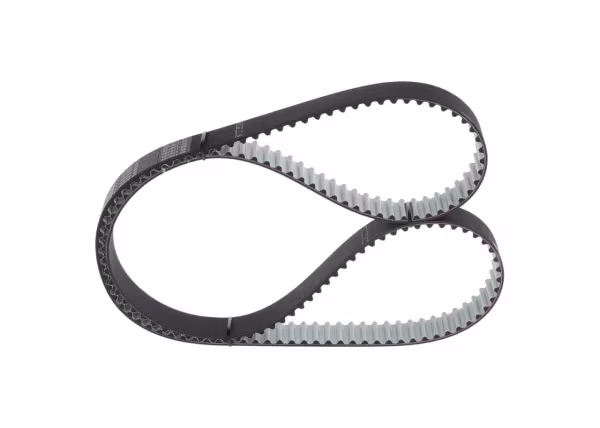 BOSCH Cinghia dentata