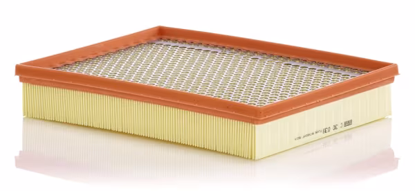MANN-FILTER Filtro aria