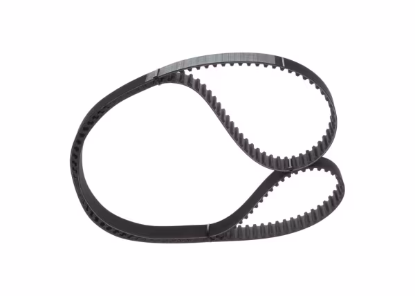 BOSCH Cinghia dentata