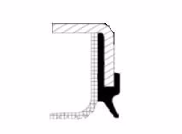 ANELLO TENUTA, DIFFERENZIALE