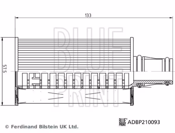 BLUE PRINT Filtro olio