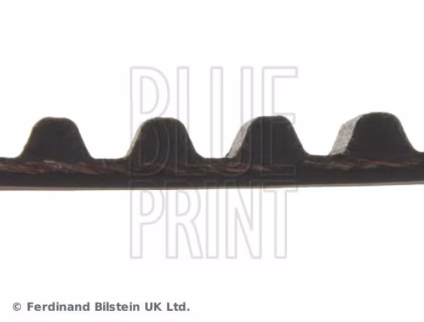 BLUE PRINT Cinghia dentata