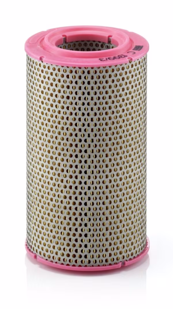 MANN-FILTER Filtro aria