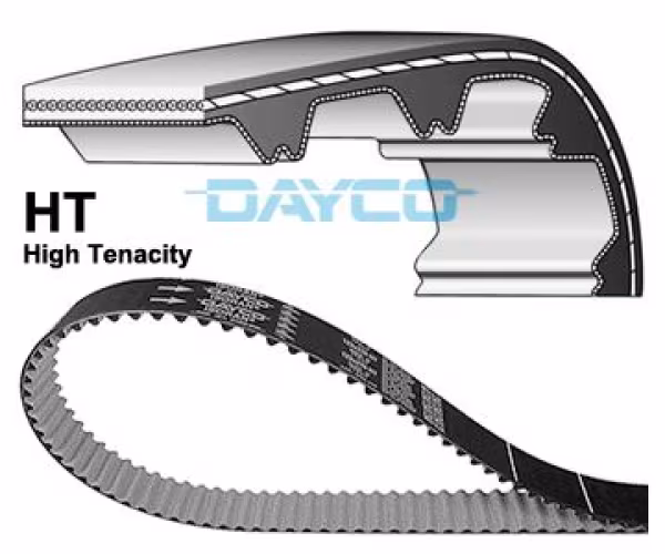 DAYCO Cinghia dentata