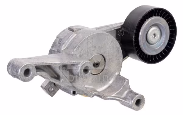 Tendicinghia, Cinghia Poly-V