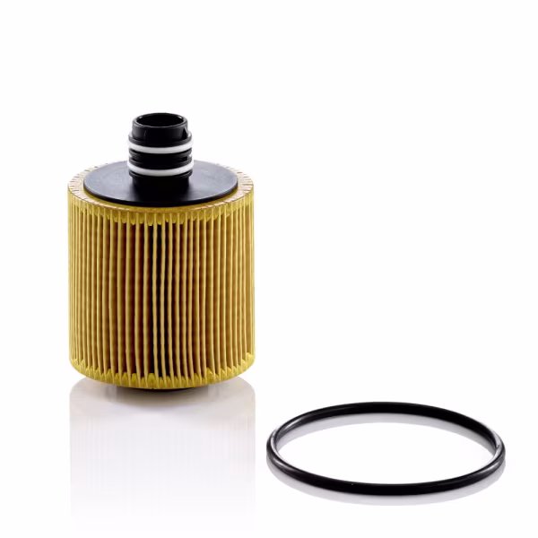 MANN-FILTER Filtro olio