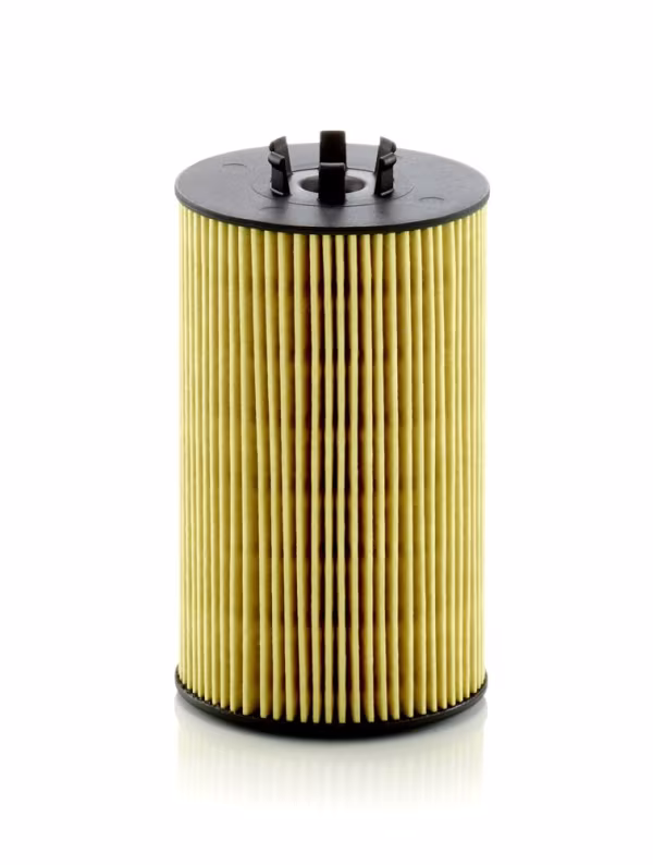 MANN-FILTER Filtro olio