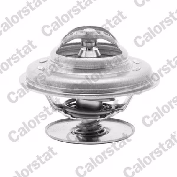 CALORSTAT by Vernet Termostato, refrigerante