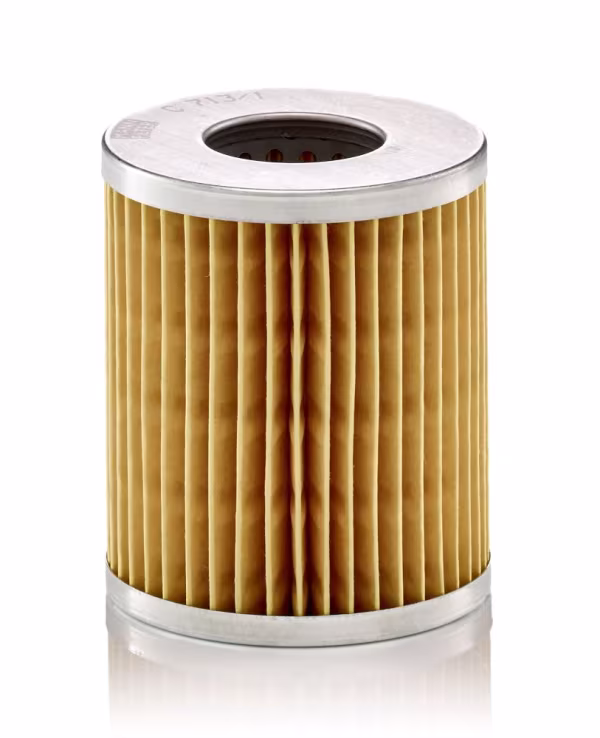 MANN-FILTER Filtro aria