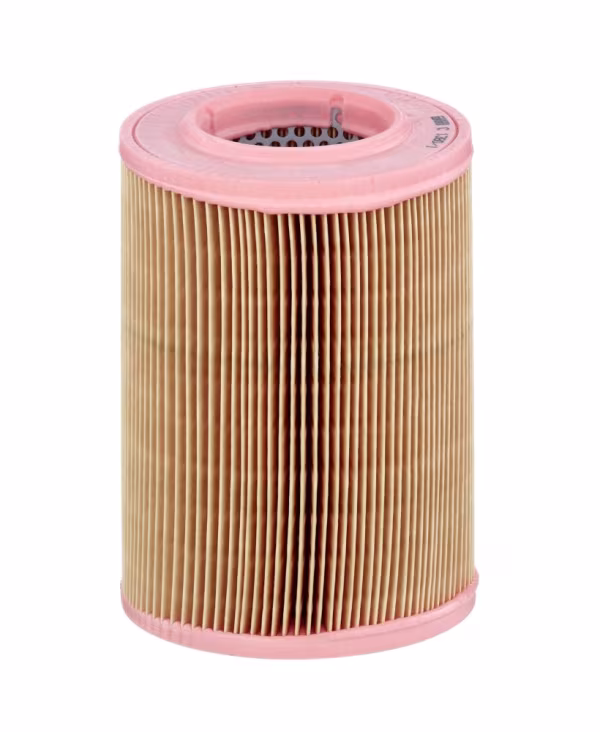 MANN-FILTER Filtro aria