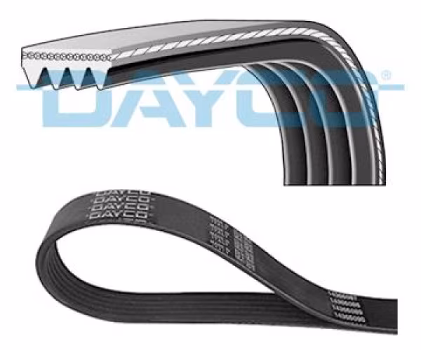 DAYCO Cinghia Poly-V