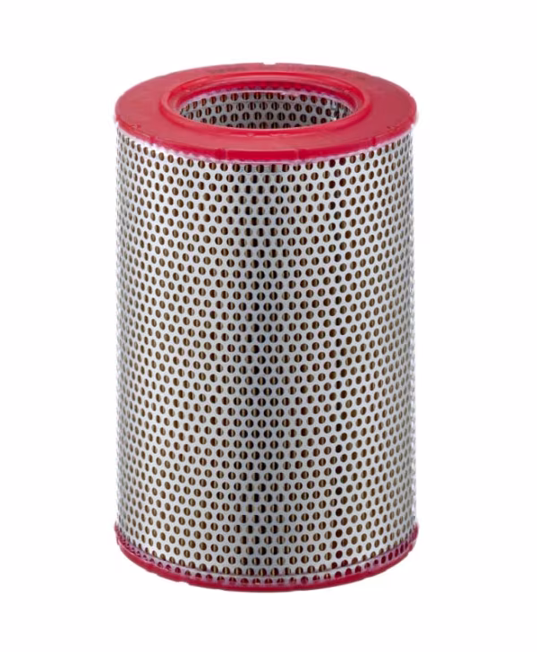 MANN-FILTER Filtro aria